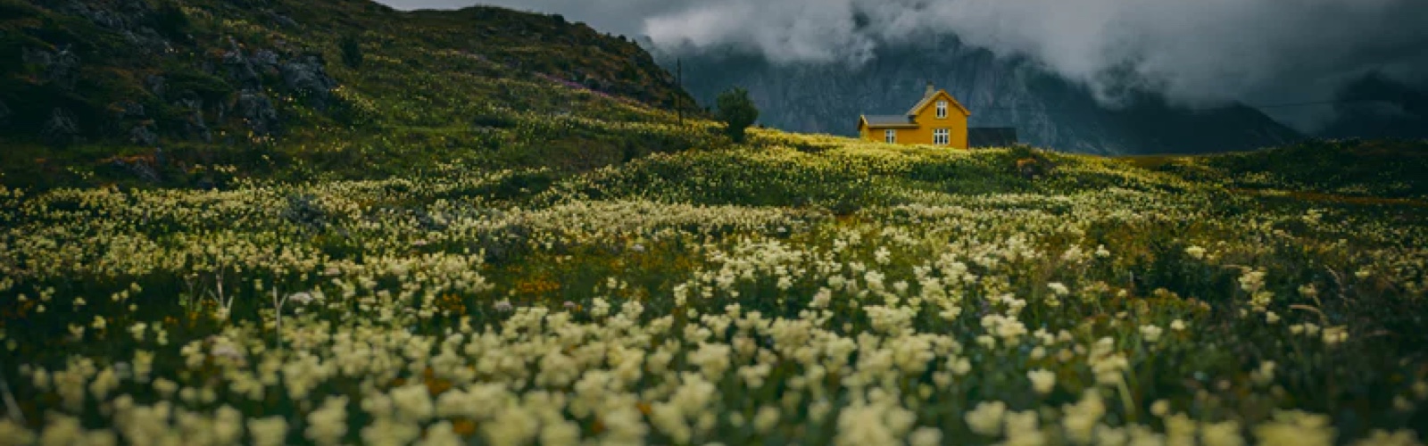 A yellow house in the distance, surrounded by rocky fields with yellow flowers.